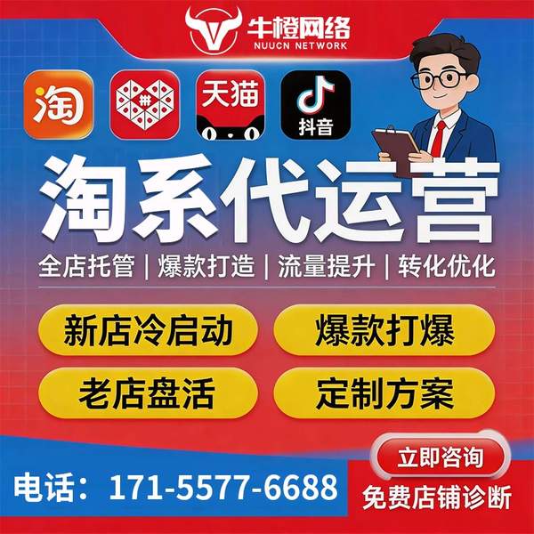 海东电商代运营