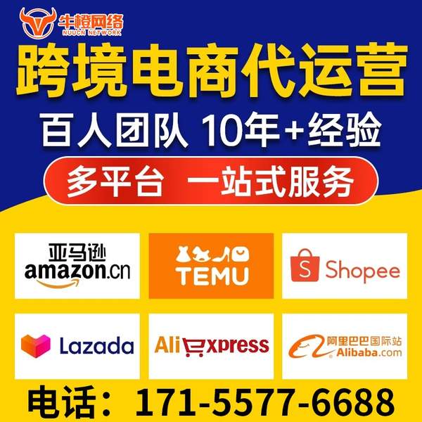 海东电商代运营