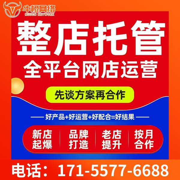海东电商代运营