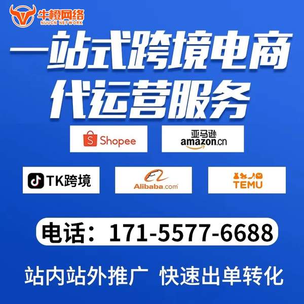 海东电商代运营