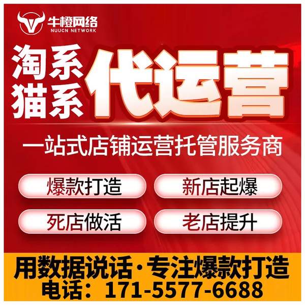 海东电商代运营